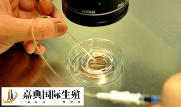 取卵26个能配上几个(图1)